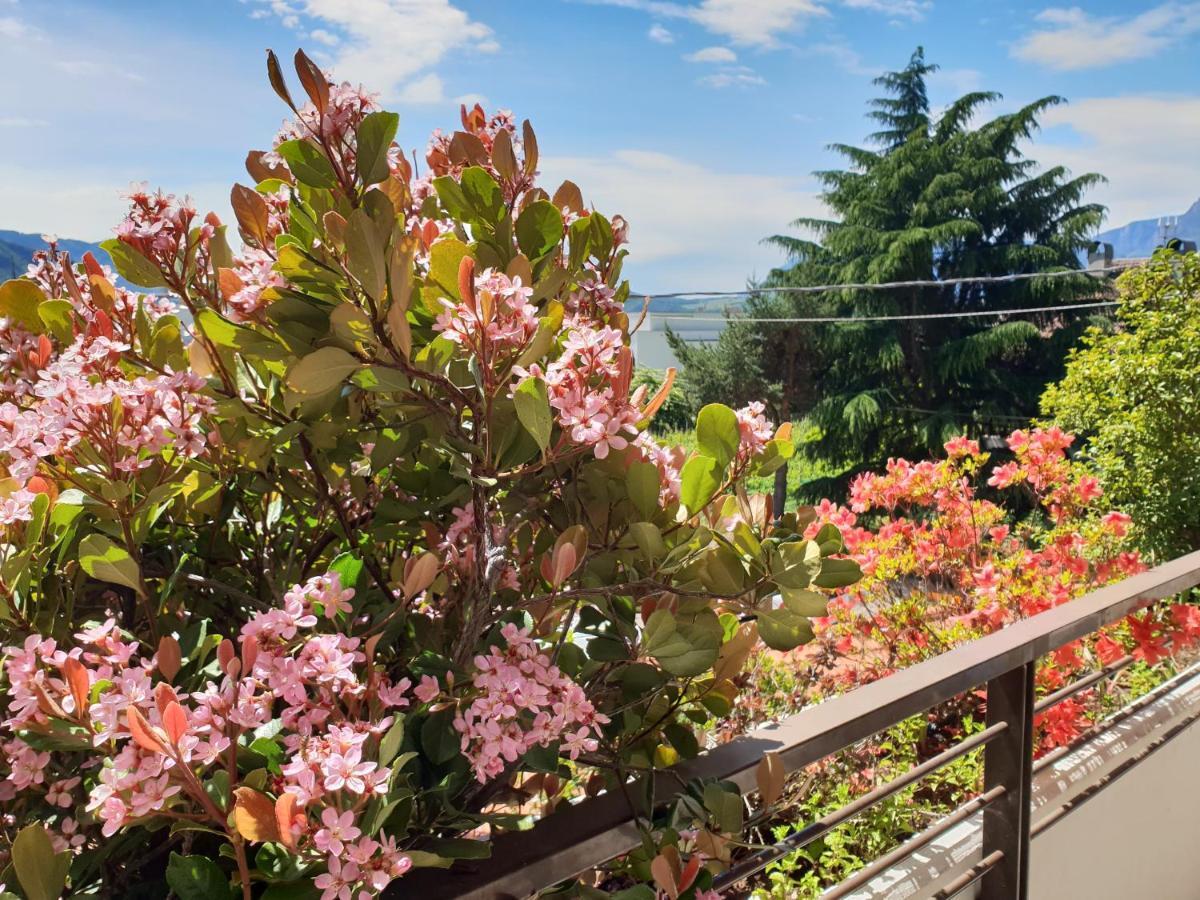 Domus Rose Rooms Bolzano Bagian luar foto