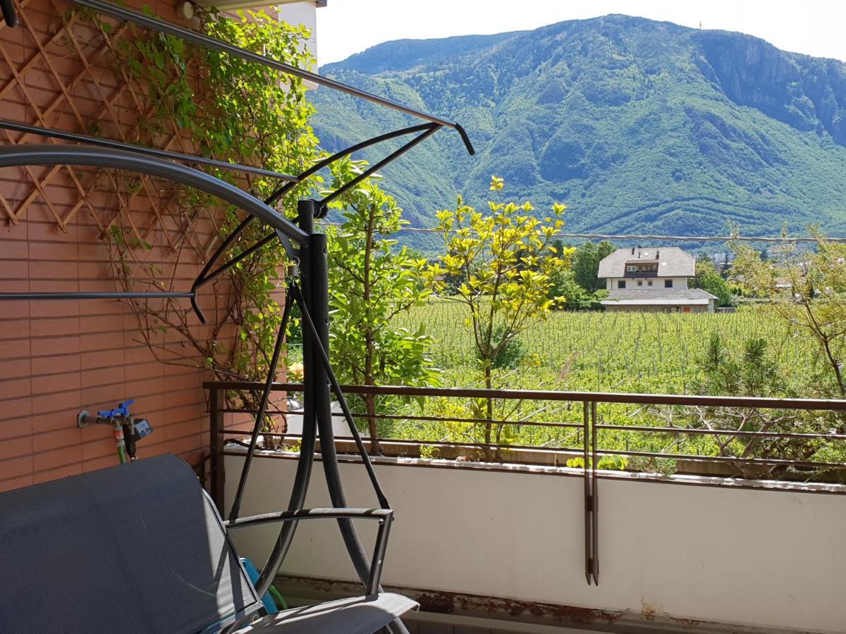Domus Rose Rooms Bolzano Bagian luar foto