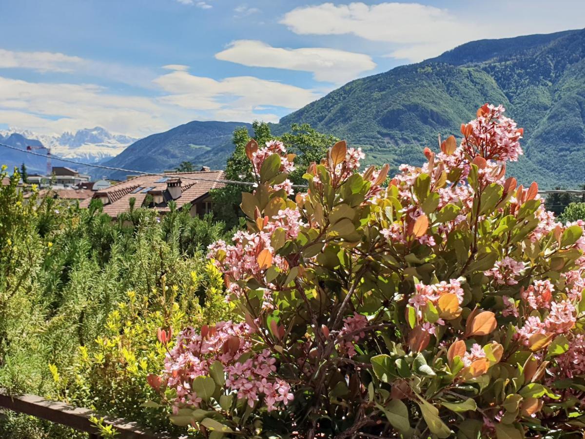 Domus Rose Rooms Bolzano Bagian luar foto